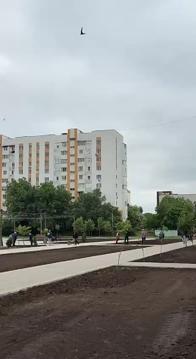 � ���� ������� ������� � ������ ������