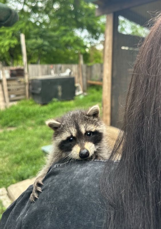 ������-����� �� ���� ����� �����