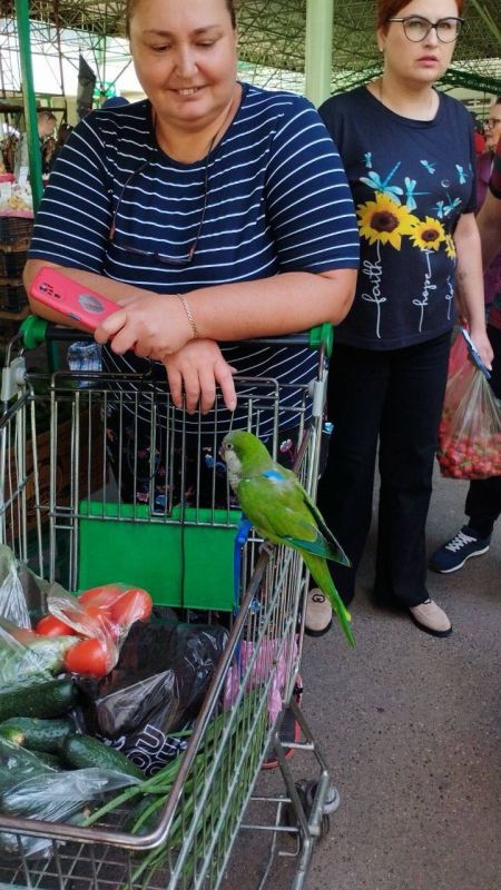 ������� � �������� ������ �� ���������� �� ������ �����