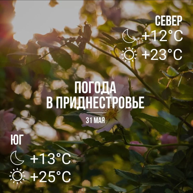 ��������� ������� ���� ����� �����, ���� � �� ���� 25 ��������