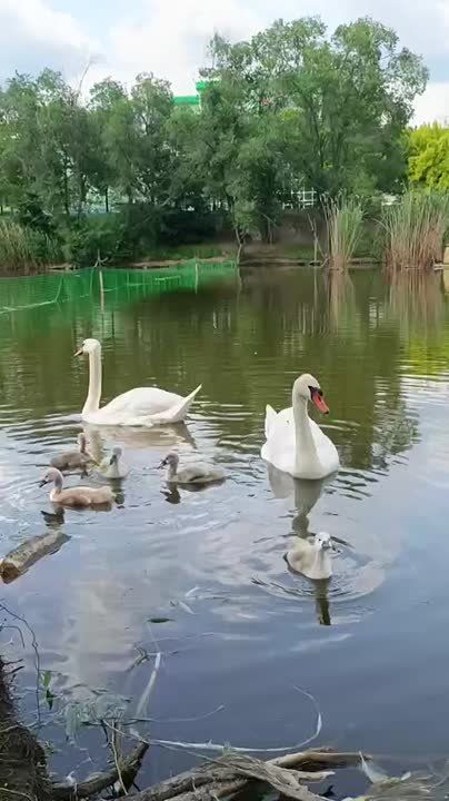 ����� ������� � �������������� ����� � ����-������ � ����-������ ������ ����� �������� ������� �� ��������