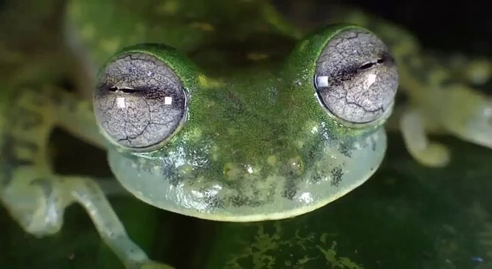 ����� ���� ���������� ������� � ������� � ���������� �����