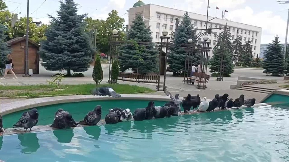 ��������� ����� ���������� �������