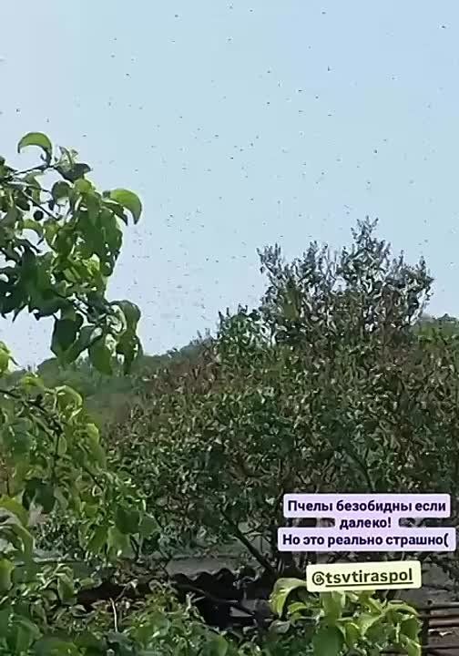 ����� ������ ���������� �� ����������� �� 10 ��� � ����