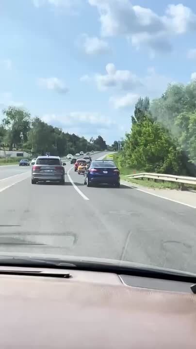 ���������-��������� �� ���������� ������� ������� ��� ��������