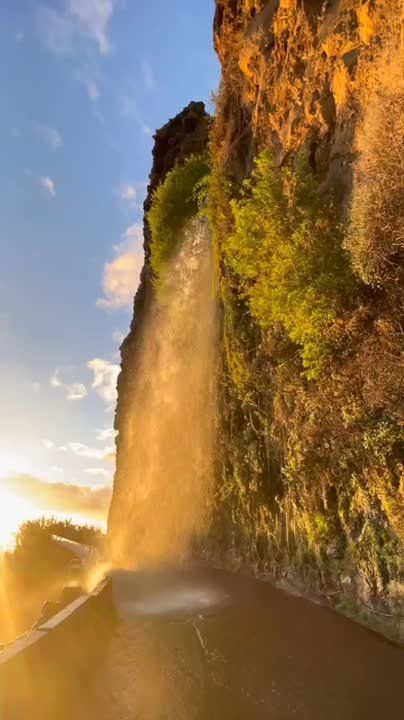 ������ �� �������