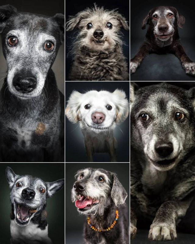 ���������� ������� �������� �������� ���