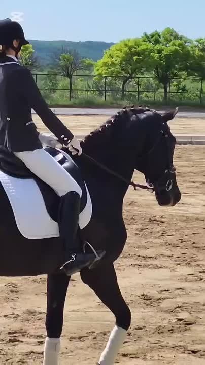 ���� ���������� �� ������ ������ � ���������� ���������� �������� �������� ������� ������ �� ���������� ������� � �������