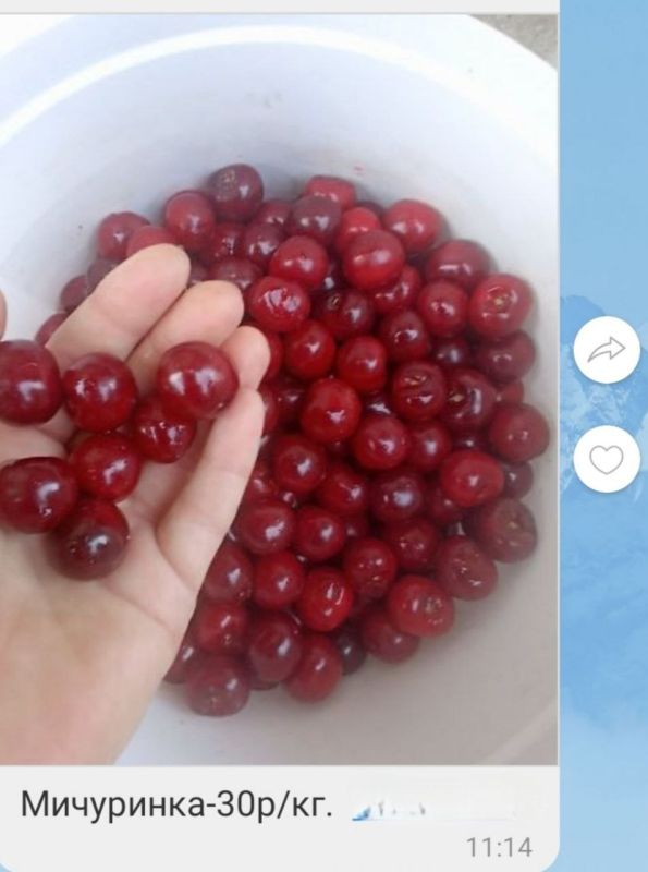 ����� � 30 ������ �������� � 40 ������