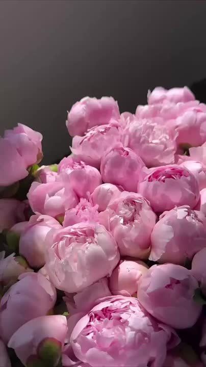 ������� ���� ������. �������� �����, ����� ���������� ���� ��� ���� ������� ����������, ���� ��� �� �������