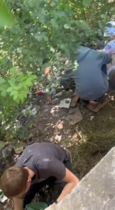 ����� ������ ����������� ������� ������ � ������ ���������