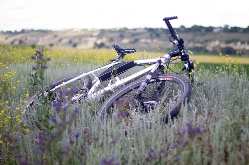 ������� � ��������� ���� ����������