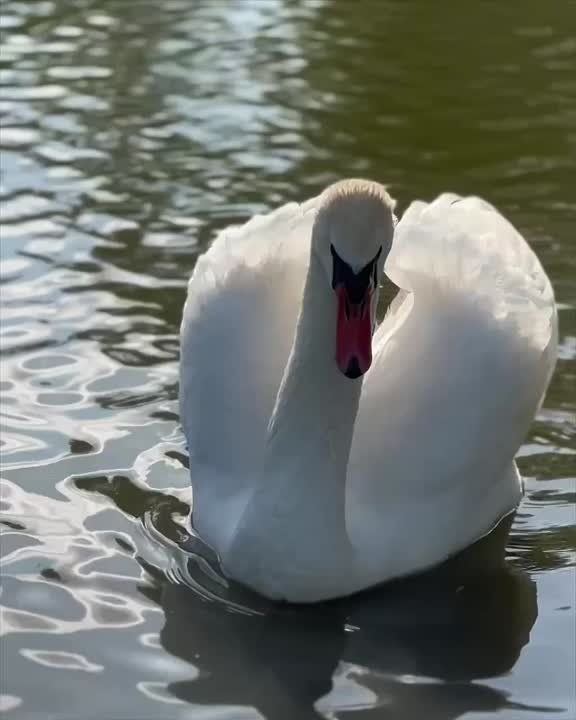 ������ ���� � �������������� �����