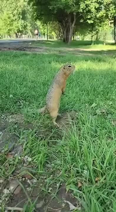 ���� ������� ������ ��� ��������� ������� ������������ � ����!