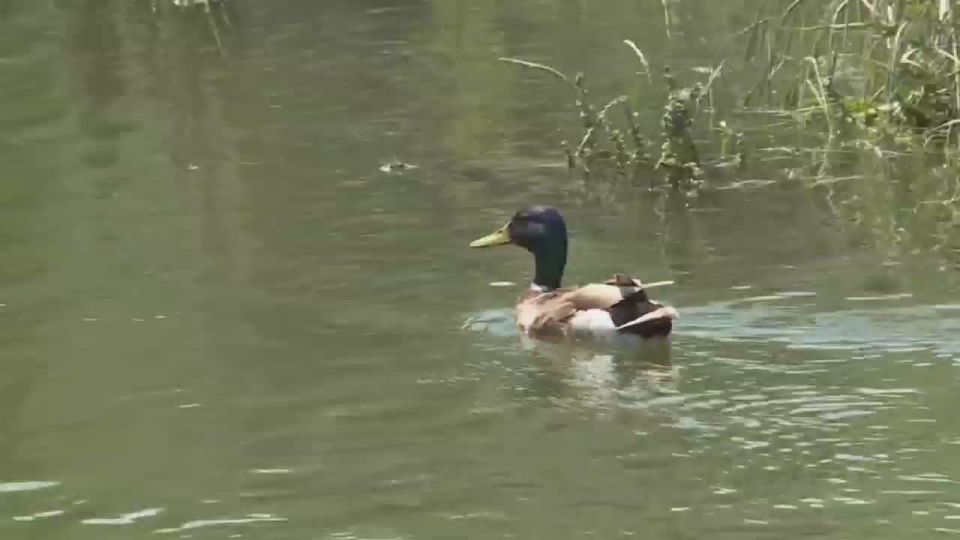 ���������� ������� ��������� � ������