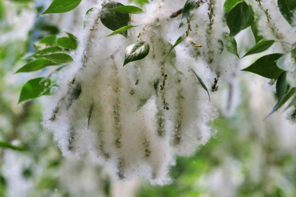 ����� �������������: ������ ����� ���������� ����, �� ���������� ���������