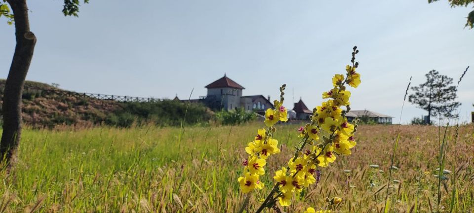 ��� �������� ��������� ����� �� ����� �� � ��, 5 ���� ��������� ���������� ����������, ��� �������