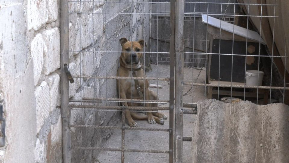 � ���� ��������� ����������� ������ ������� ����� �� ����������� ��������