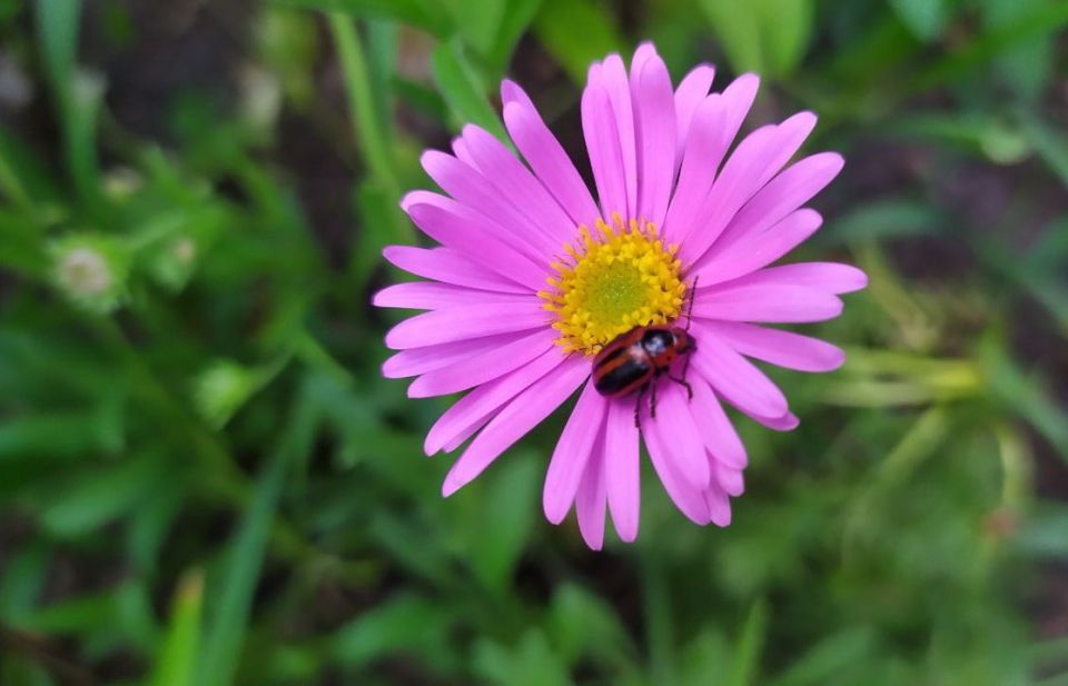 Прогноз погоды на сегодня, 4 июня