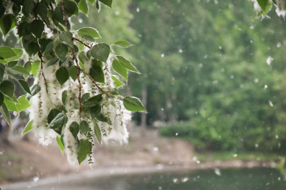 ��������� ���: ����, �����!