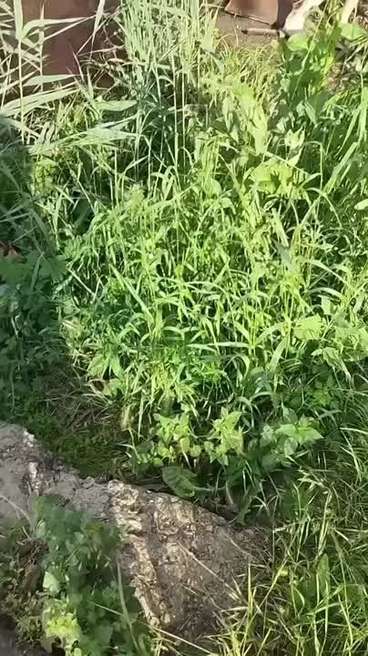 ��������� ������ ��������� �������� ������� � �������� �� �����