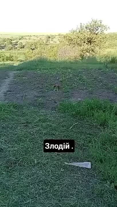 �� ������� ����� ������ ������� �� �������