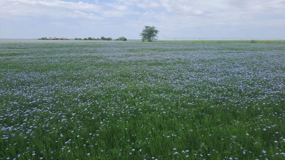 �������� �� ��������� ������� ������� ����