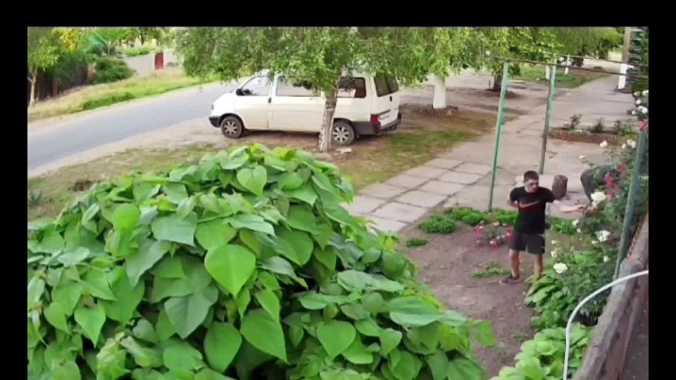 ����������, ��. �������. ��������� ������ �� ���������� ��� �������