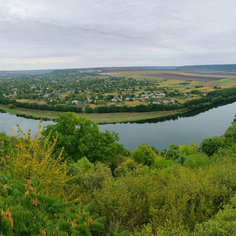 5 ���� � ���� ���������� ��������������� ��������������� ������� ���