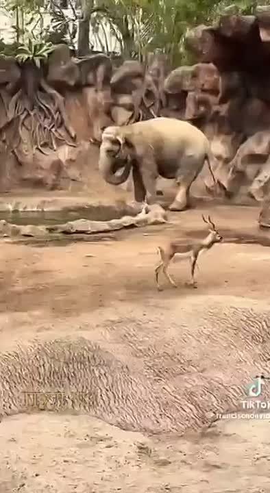 ���������, ������� ����� ��� ������! �����-�����! � ��� ����������!�: