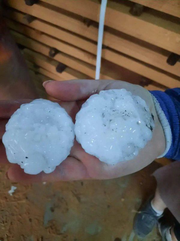 � ������� ����� ���� �������� � ��������� ���