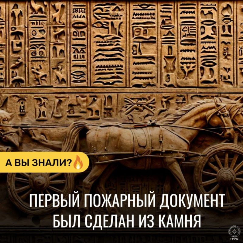 #������������: �������� ��������, �������� ����� 3 ������ ���!