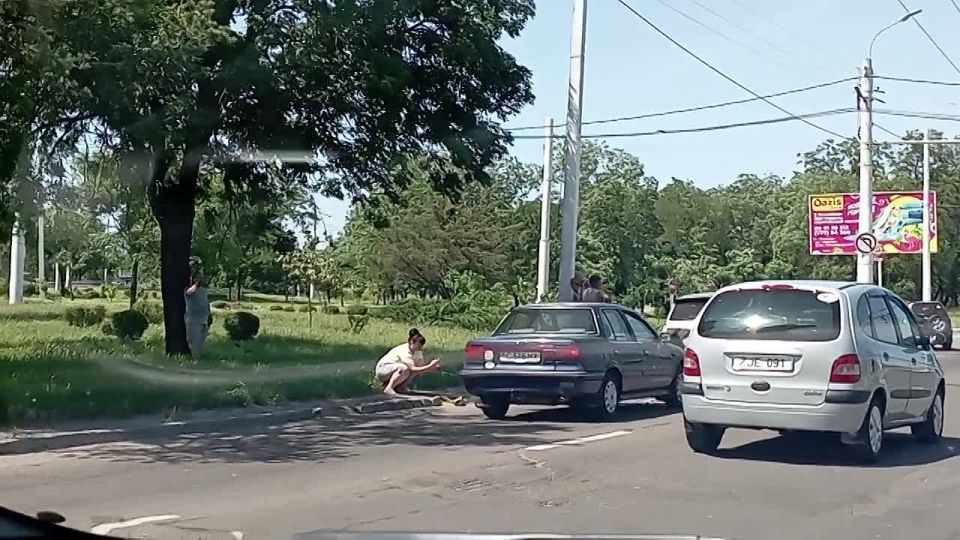 �������. �������� ���������. ������� ����