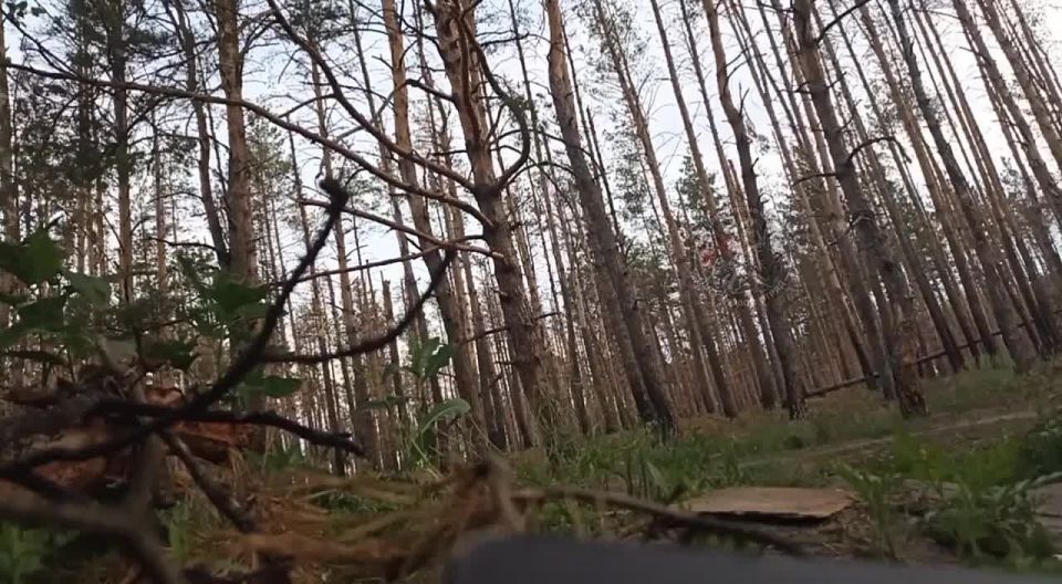 ������� �������� ����������� �������