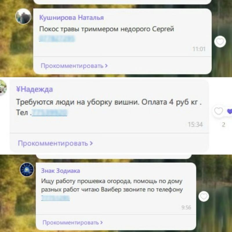 ���� �� ����������: �� 8-������� �������� ������ ������� ��� ������� ������ 300 ������ � ������������ ������