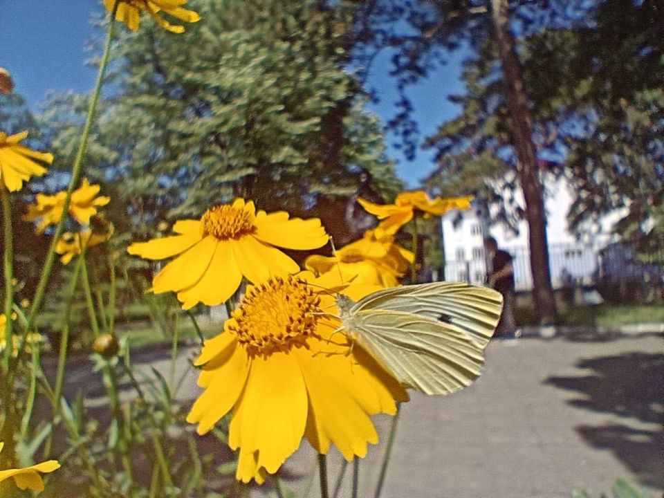 ��� �������� ��������� ����� �� ����� �� � ��, 10 ���� ��������� ���������� ����������, ����� ������� ��������������� �����, ���� - ��� �������