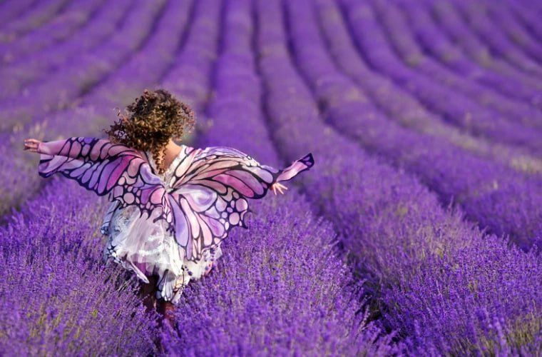 13 ���� � �������� ������� � �����������