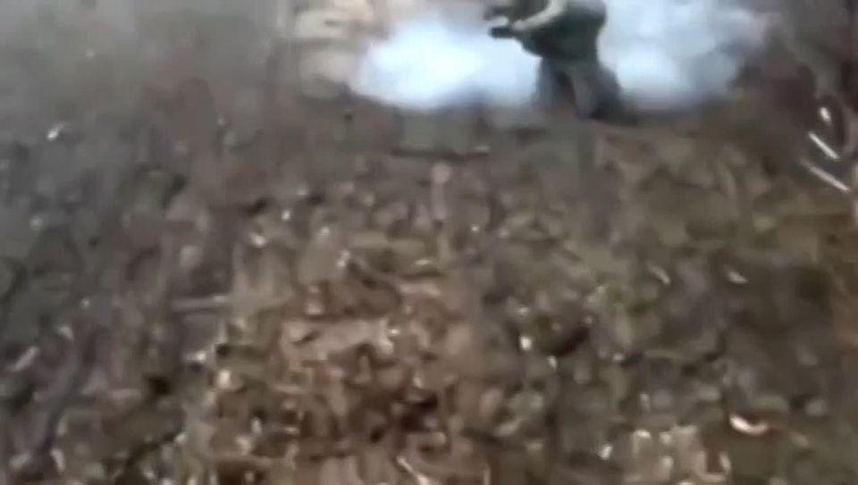 �� ����� �� �������� ������ ������������ ������ ������: ��������� �� �� ������� ������ ��������� FPV-�����