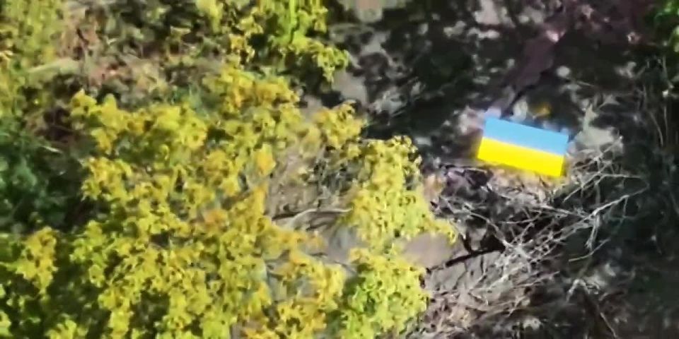 ��������� ������ ����� ����������� ������� ���������������� ������� ������� ��������!