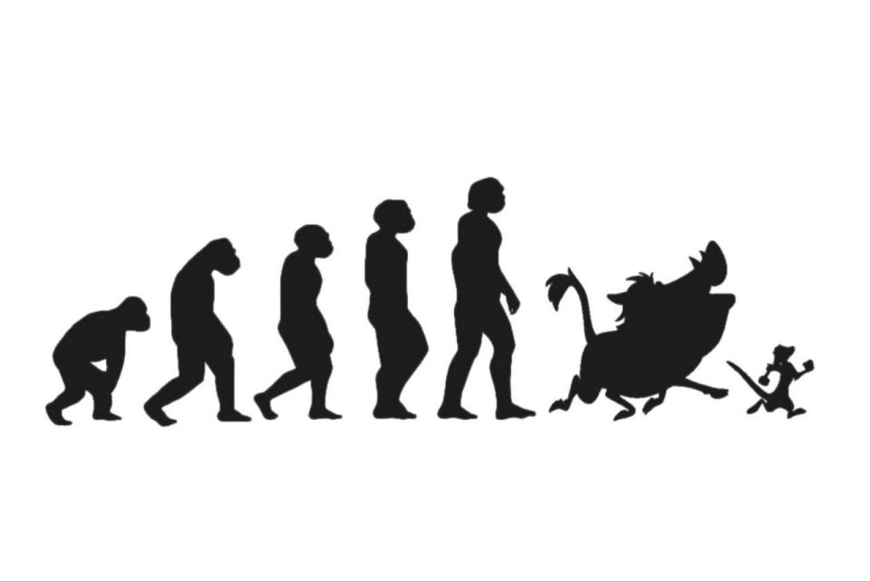 ���������� ������� ����� ��������� ������������ ������� ������� ���� � ���������