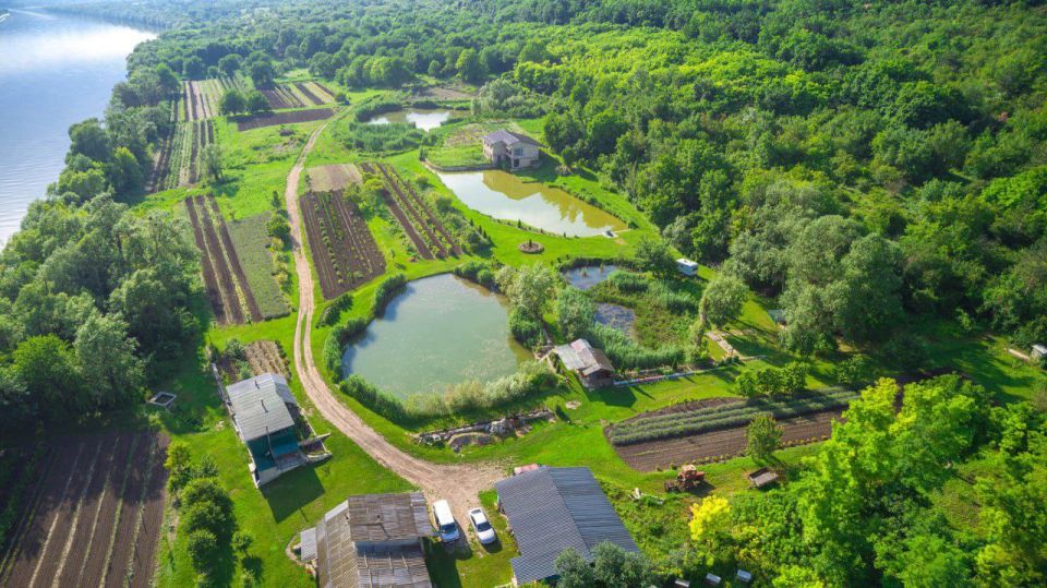 ����������� �������� � ���������������! � 100 ���� ������������� �� ������ ��������������, ��������� �� ������� � ����� ���λ � ���������� ����� � �����!