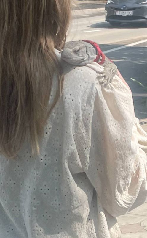 � ������ ��������� �����. ������� ������� ������ � �������