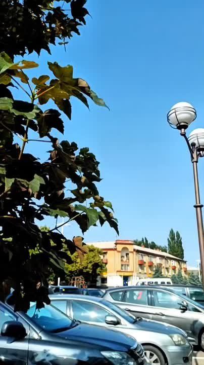 ������ ������ ���� - � ���� ���������