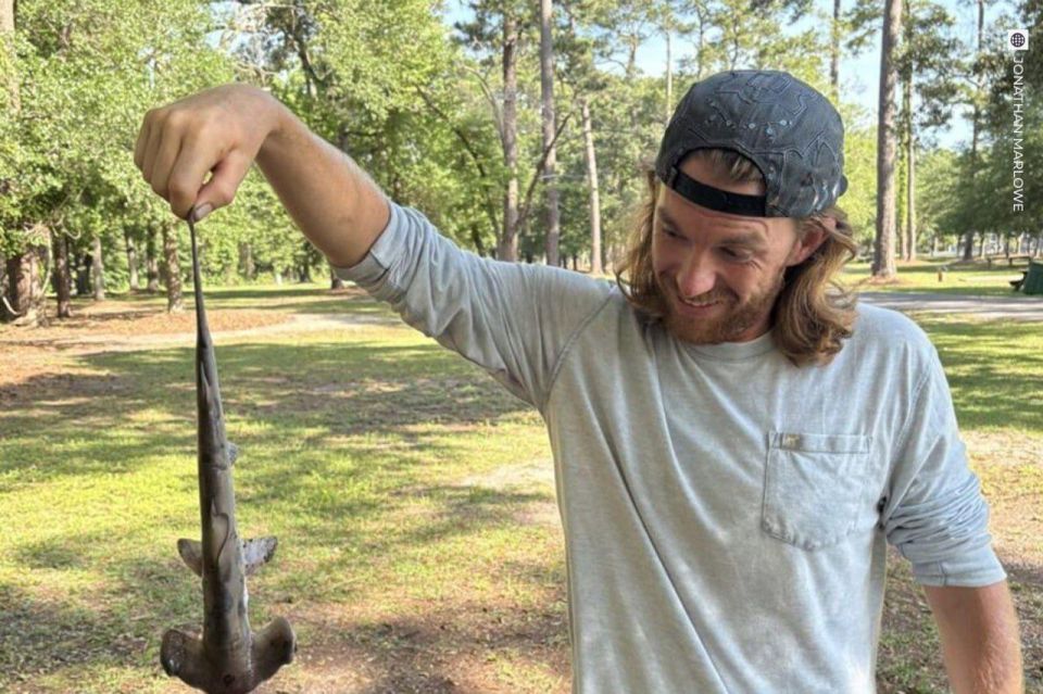 ������ ��������� � ���� �� ��������