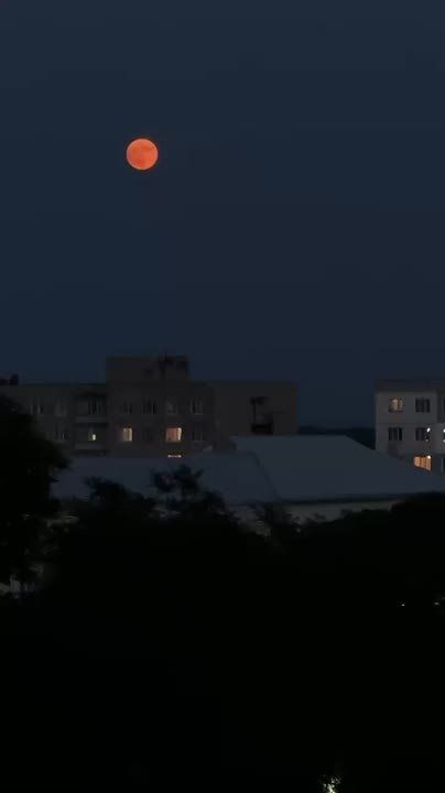 ��� ���� ���������� ���� �� ���� ����������� ��������������