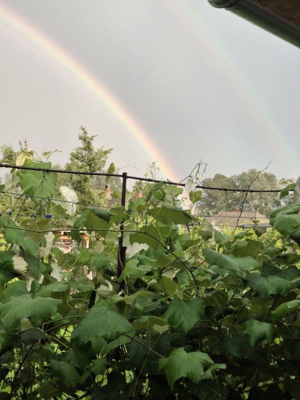 Радуга над Каменкой. Автор фото: Диана Нистор