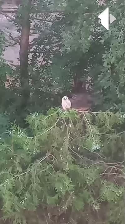 ���������, �����. ������� ������ ��������� �� ����