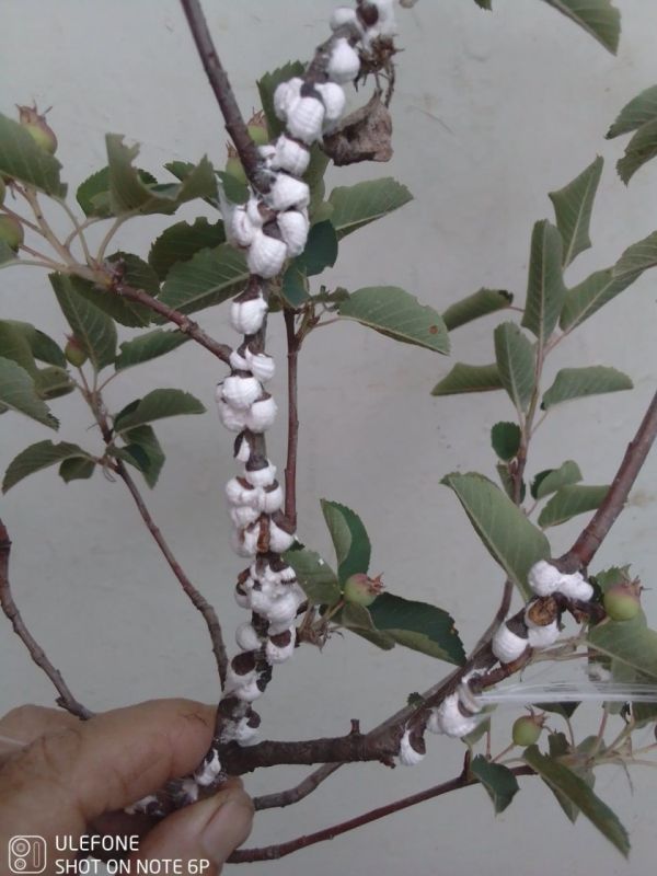 ���������� �������: ��������� ������� �������-�����������