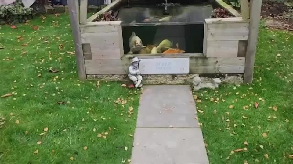 ���� � ������������ ����� ��� ��������� � ��������