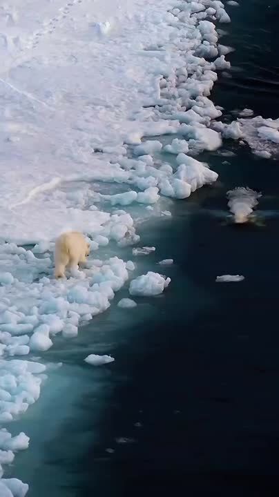 ����� ������ ������� �� �����